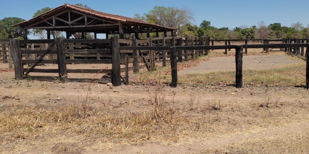 Fazenda em Sucupira tocantins 15