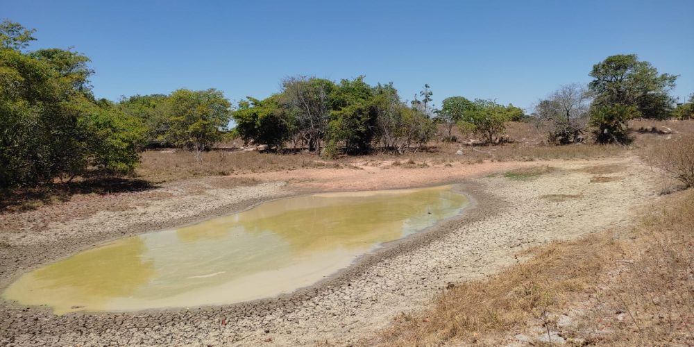 Fazenda em Sucupira tocantins 14