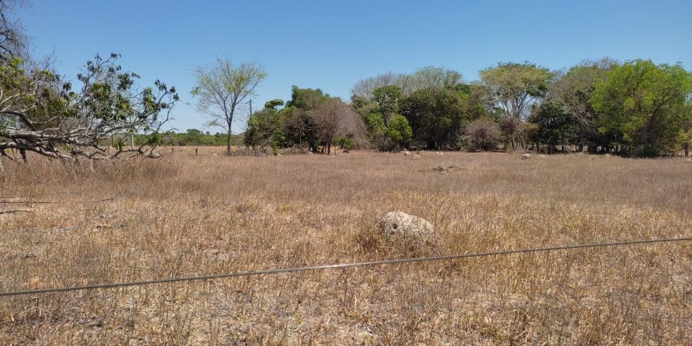Fazenda em Sucupira tocantins 13