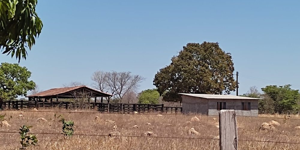 Fazenda em Sucupira tocantins 12