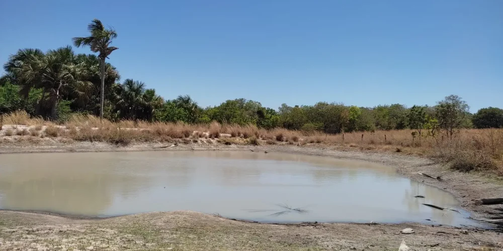 Fazenda em Sucupira tocantins 04